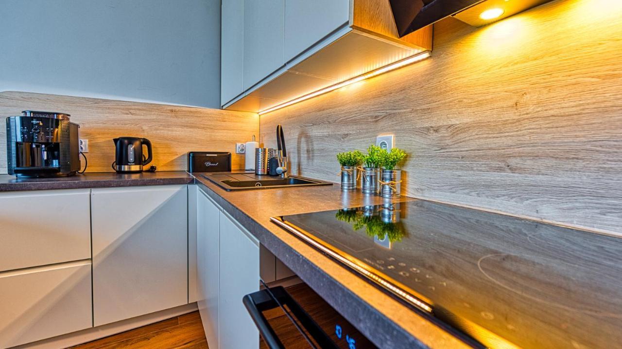 Apartament Pod Stogiem Izerskim - 5D Apartamenty Swieradow-Zdroj Exterior foto
